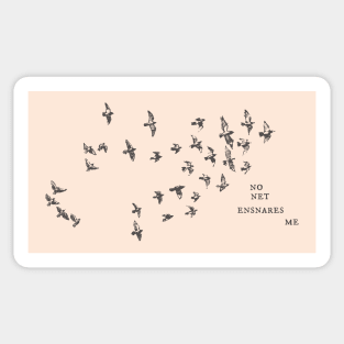 "No net ensnares me" + flock of birds - Jane Eyre quote, Charlotte Bronte (pale pink background) Sticker